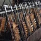 A Churrascada Gaúcha será realizada no Steffen Centro de Eventos e promete unir tradição, música e gastronomia em uma celebração do Dia do Gaúcho no Espírito Santo. Foto: Divulgação/Cloves Louzada