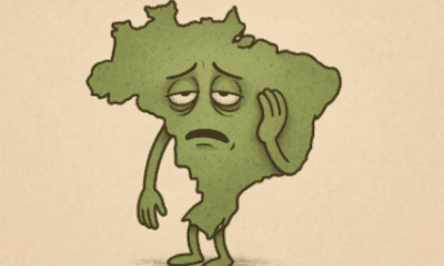 Brasil tem um compromisso histórico com as galinhas e inveja o seu voo curto. Foto: Reprodução