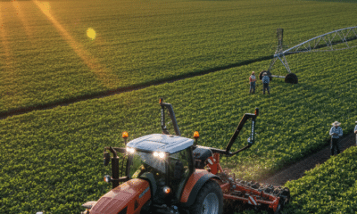 Fortalecer o agronegócio em tempos de alta na SELIC. Foto: Gemini/IA