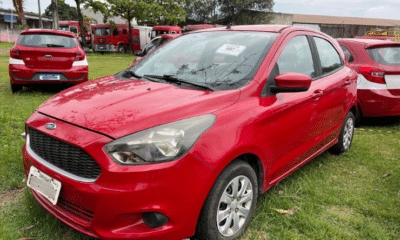 São ofertados mais de 60 lotes no leilão dos Bombeiros. Foto: Divulgação